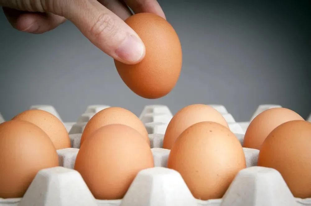每天吃掉一顆雞蛋就是攝入一座“營養寶庫”，這5類人還可以多吃點