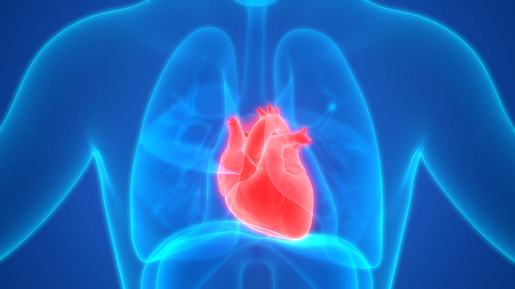 美國新研究發現，鍛煉心肺活得久