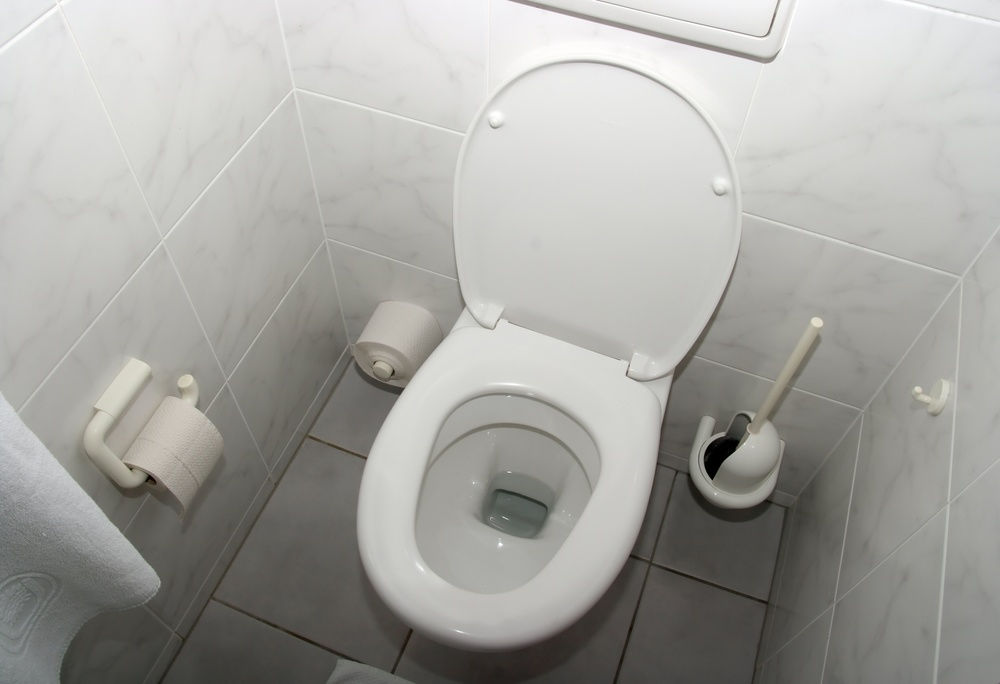 世界廁所日丨人的一生有3年時間在這里度過，“一沖一蹲”關乎身體健康