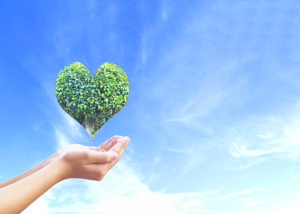 “个人碳账户”倡导绿色生活