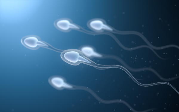 妻子“不孕”和老公工作有关，7个原因可能杀死精子