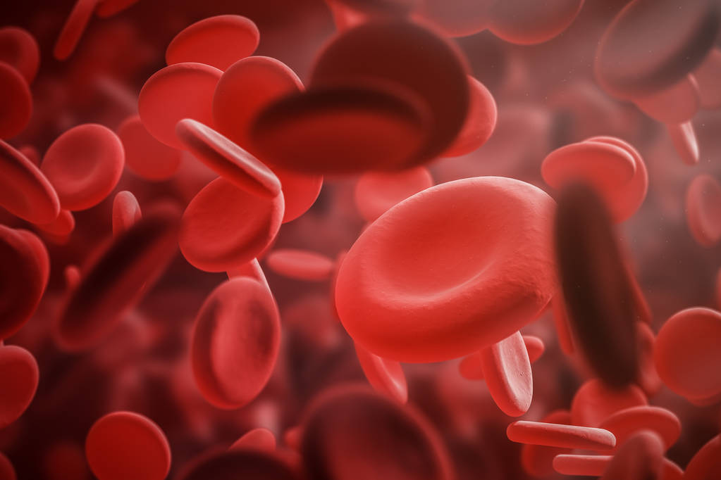 浙江大学医学院附属第一医院血液科：治疗白血病新方案打破国际纪录